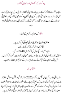 CM Punjab Green E-Taxi Program 2025